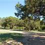 Big Stacy Park