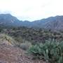 Big Bend National Park - Window Trail