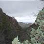 Big Bend National Park - Lost Mine Trail