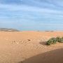Red Sands