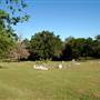 Mansfield Cemetery