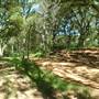 Oliver Nature Park