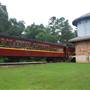 Texas State Railroad - 1901 Steam Train