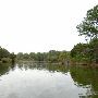 Lake Bastrop