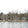 Lake Bastrop