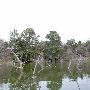 Lake Bastrop
