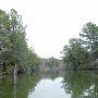 Lake Bastrop