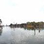Lake Bastrop