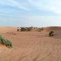 Red Sands