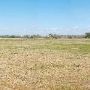 Mackenzie Park - Prairie Dog Town