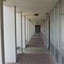 Trinity University - Albert Herff- Beze Hall
