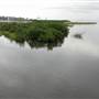 South Padre Island Birding and Nature Center & Alligator Sanctuary