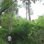 Sabal Palm Sanctuary
