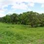 Loop Farms Inc