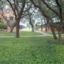 Trinity University