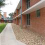 Trinity University