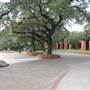 Trinity University