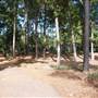 Gayla Mize Garden