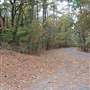 Davey Dogwood Park