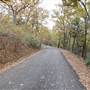 Davey Dogwood Park