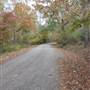 Davey Dogwood Park