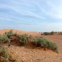Red Sands