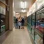 Animal World and Snake Farm