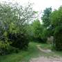 Cedar Hill State Park