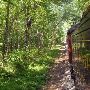 Texas State Railroad