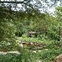Zilker Botanical Gardens