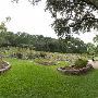 Zilker Botanical Gardens