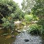Zilker Botanical Gardens