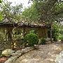 Zilker Botanical Gardens