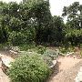 Zilker Botanical Gardens