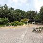Zilker Botanical Gardens