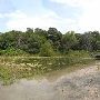 Austin Nature and Science Center
