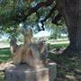 Liberty Hill Sculpture Garden