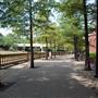 Buffalo Bayou