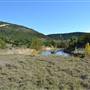 Madrone Ranch