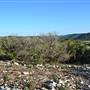 Madrone Ranch