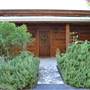 Madrone Ranch