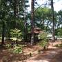 Quitman Arboretum
