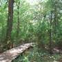 Quitman Arboretum
