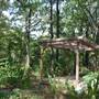 Quitman Arboretum