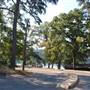 Tyler State Park