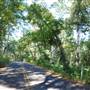 Tyler State Park