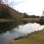 Longhorn River Ranch