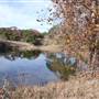 Longhorn River Ranch