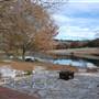 Longhorn River Ranch