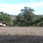 Longhorn River Ranch